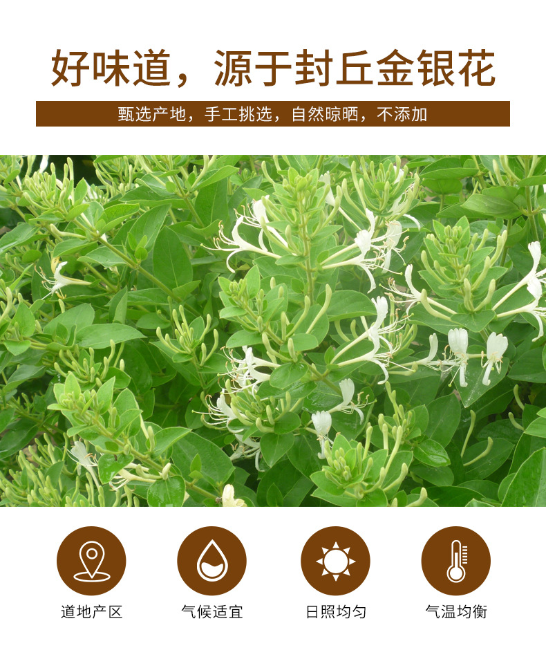 Jin Yin Hua (Lonicera japonica) Dried Honeysuckle Flower Tea — 60g Jar, Food-Herb Herbal Tea key features