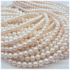 Freshwater breeding pearl 5-6A1AA round basically no-time pearl necklace business gift hfy1449