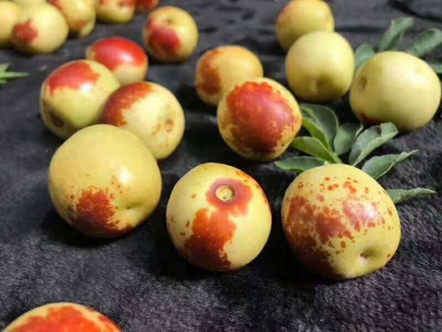 秒殺新鮮現采現摘露天沾化冬棗五斤裝脆甜爽口，孕婦可食用