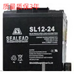西力达SL12-24直流屏照明应急灯SEALEAD蓄电池12v24ah电瓶