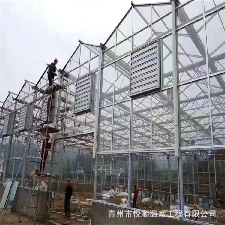 文洛型玻璃温室连栋温室温室蔬菜大棚智能玻璃连栋灌溉大棚灌水