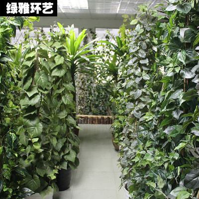 仿真植物藤条叶子花绿植绿萝蔓藤水管缠绕家居装饰花藤墙面绿化