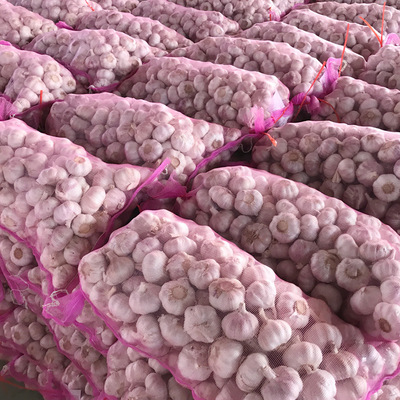 供应10kg大蒜网袋 金乡大蒜纯白大蒜出口订单来电咨询|ru