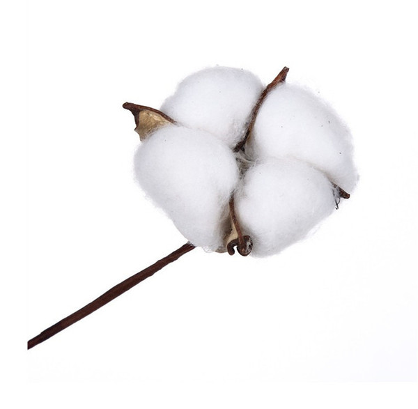 Eternal cotton dried flower art 6 single branches of simulation…