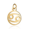 Golden zodiac signs stainless steel, pendant, accessory, wholesale