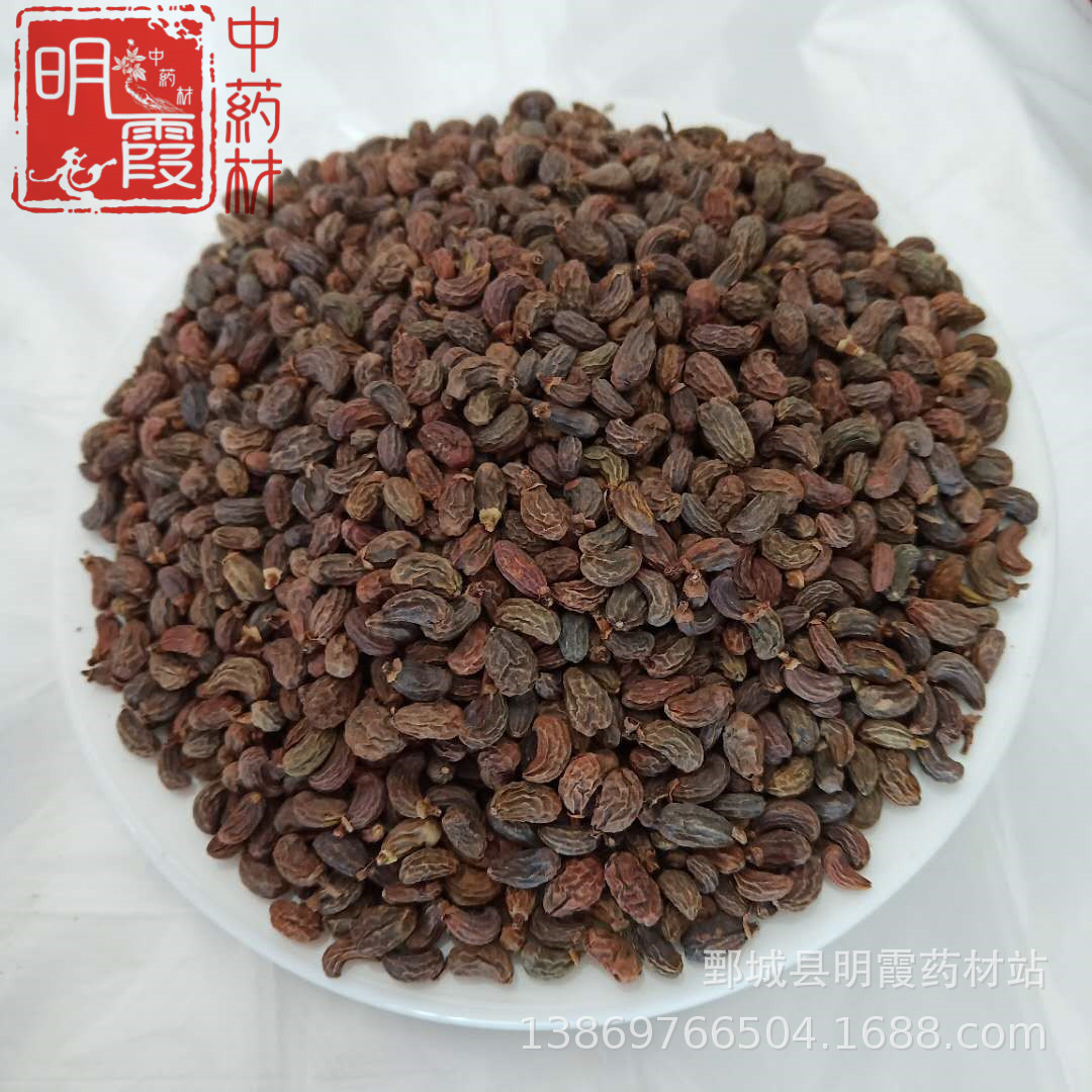 【女贞子】1000克产地供应批发零售供应 中药材