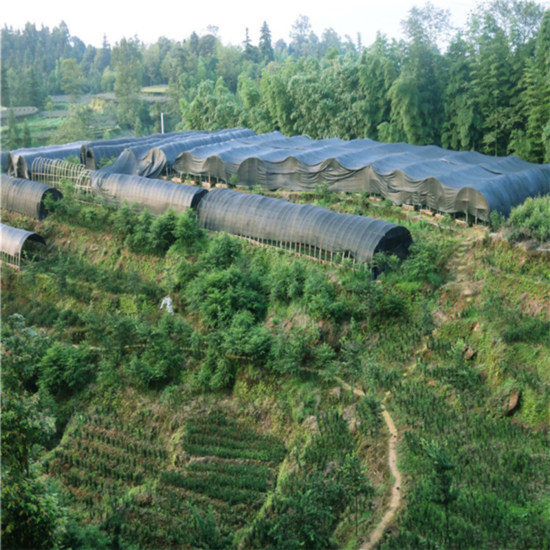 蜂蜜浏览器_基地风采1 (2)