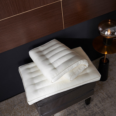 可水洗玻尿酸仪征羽丝纤维枕立体单双人护颈枕美容养颜枕一对拍2