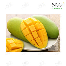 ���㽶ζ��ī���h���zӡˮ����ζ��ī����ζ�ɿ���ζ�ɘ�ζҬ��ζ