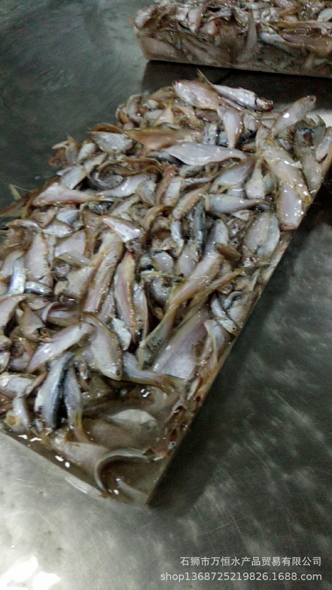 冰冻小杂鱼饲料批发,低价出售冰冻饲料鱼,冰鲜小杂鱼大量批发(第2页)_大山谷图库