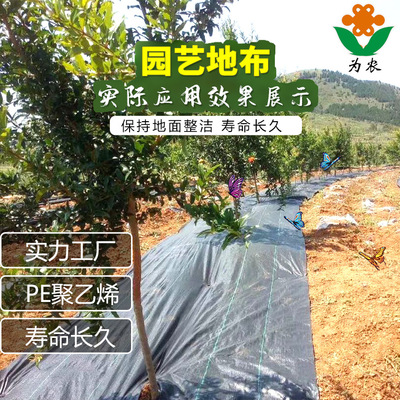 PE聚乙烯除草布透气保湿地布园艺地布抗老化抑草布果园防草地布|ms