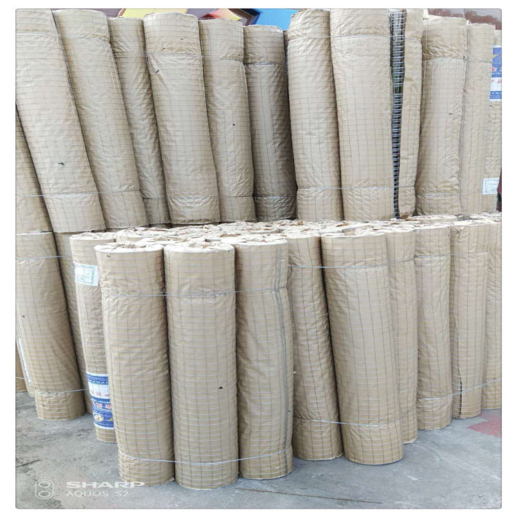 广州厂家出售304不锈钢焊网 钢丝网  养殖焊接网 屋面保温网