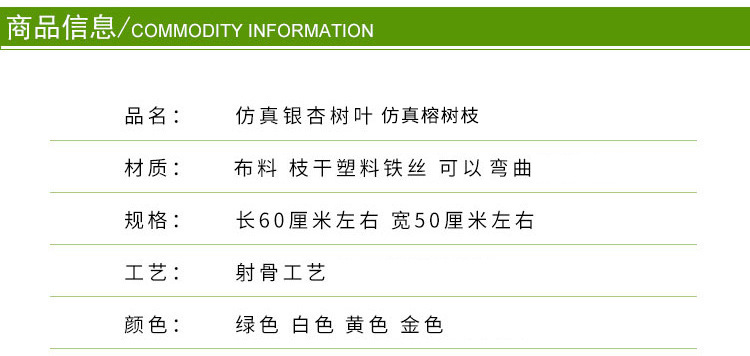 10703439511_237492366