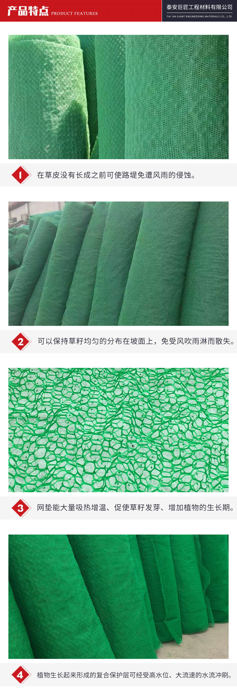 三维植被网_03.jpg