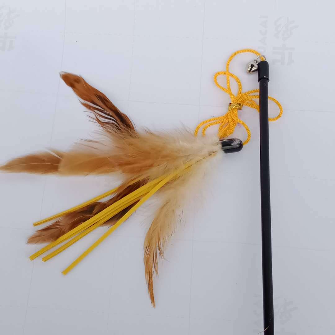 微信图片_20190410205234