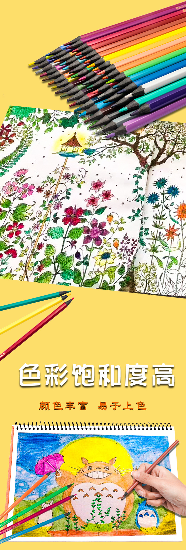 高级彩色铅笔_03.jpg