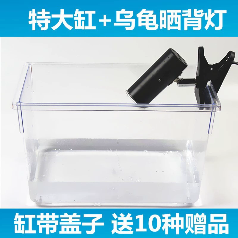 Plastic glass transparent aquarium PVC, handheld acrylic rectangular cover