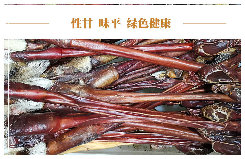 Deer Penis (Cervus elaphus) Whole Branch — Dried TCM Food Herb, Bulk Wholesale key features