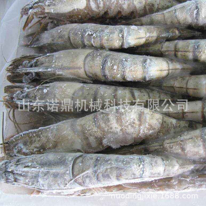 海鲜水产速冻设备 大虾速冻机 连续式网带速冻机 小中大型速冻机