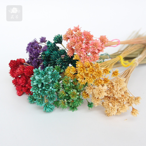 Preserved flower material color gift box with dried flowers small bouquet home flower arrangement diy preserved flower gift box material