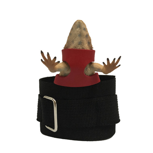 Climbing pet traction rope, green iguana traction rope, Dutch pig chinchilla outdoor anti-escape harness, squirrel harness