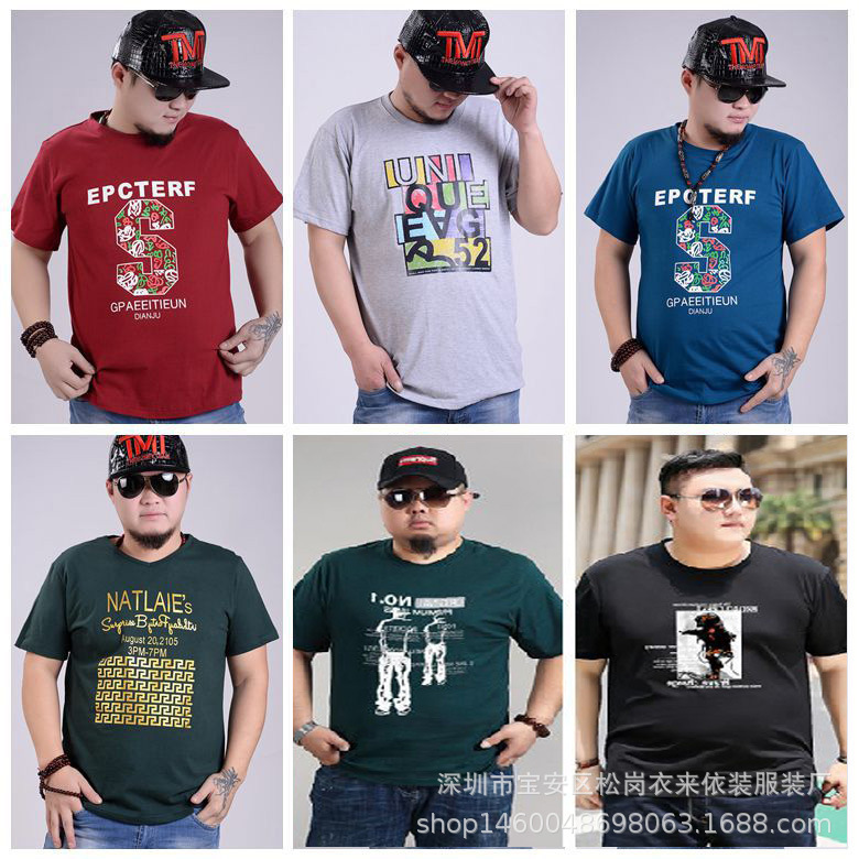 8608691355_1007948310