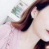 Zirconium, fashionable earrings, jewelry, Korean style, internet celebrity, simple and elegant design