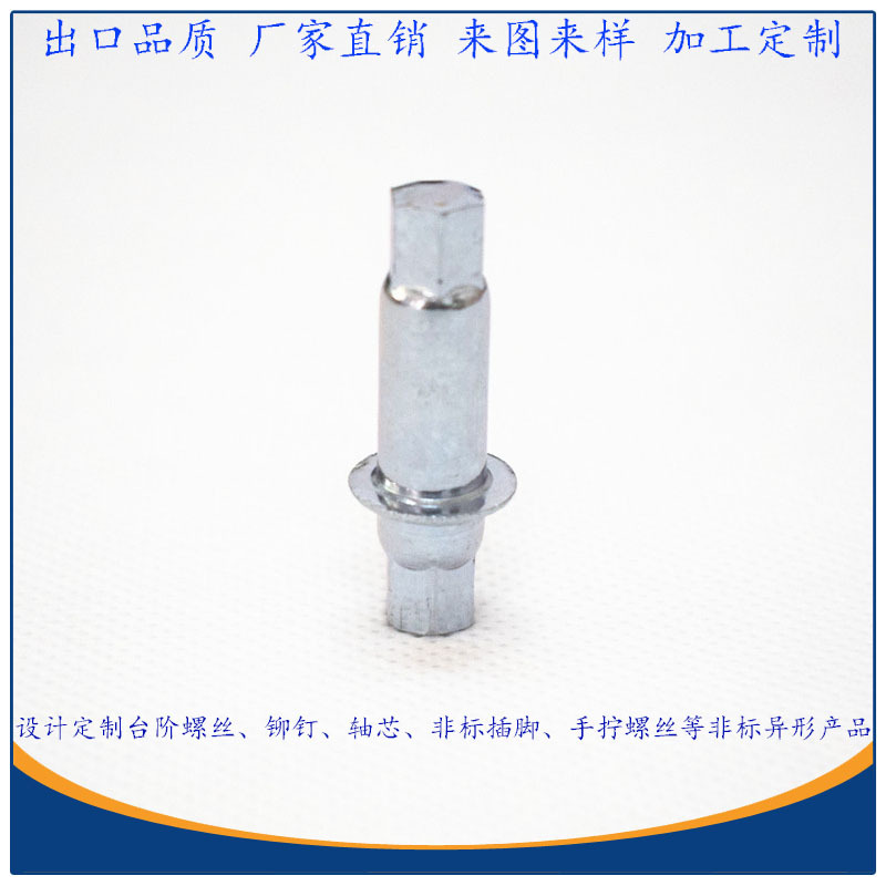 厂家设计供应定位导向销轴 按摩器材用不锈钢304带介片六角轴芯