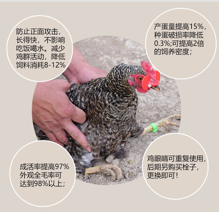 鸡眼镜BA详情页 (4).jpg
