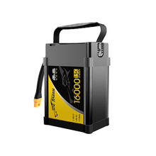 ACE16000늳ظʽģֲC12Sr