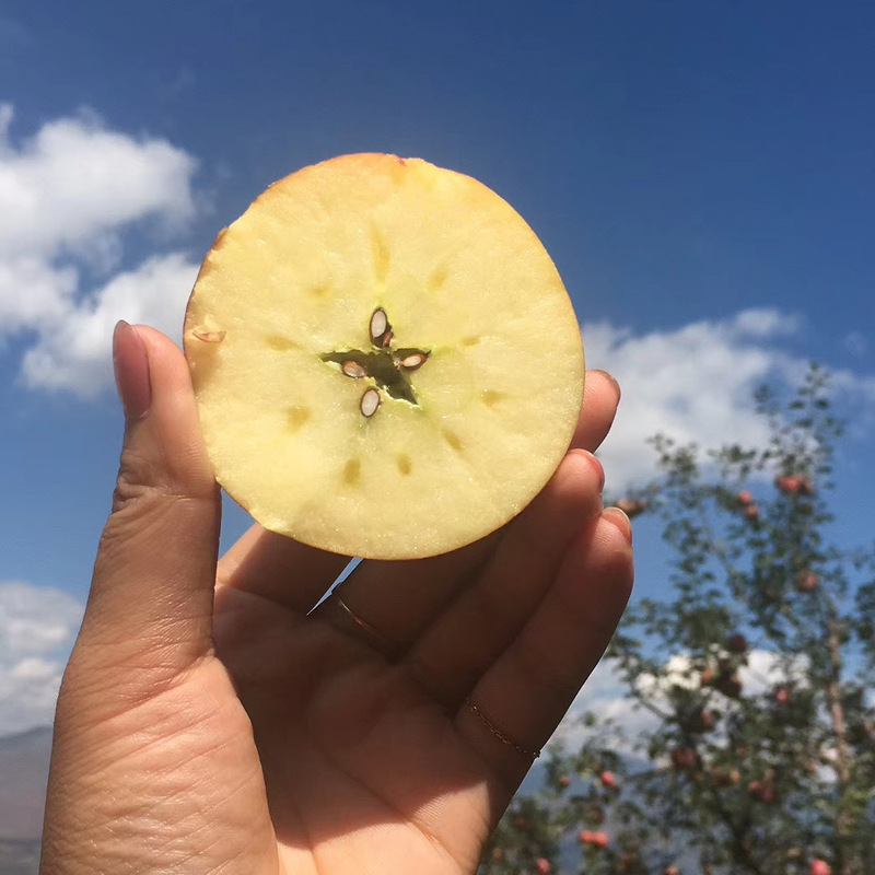 Fresh Apples from Daliang Mountain, Yanyuan, Sichuan - Whole Box Wholesale, 5kg Pieces Per Box