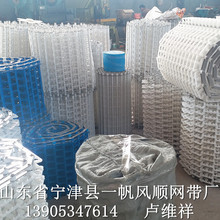 全自动洗碗机网带 网链式输送带 塑料链带 设计合理 清洗方便