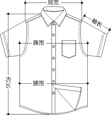 衬衫_短袖