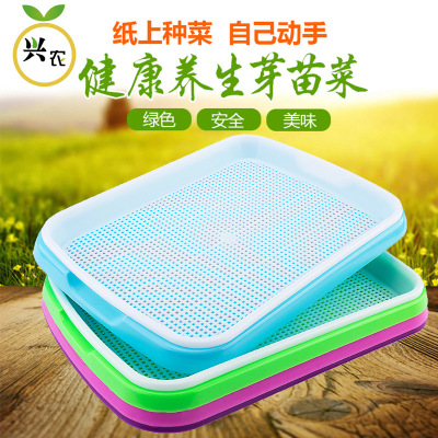 wholesale Large double-deck Seedling tray Vegetables basin Sprouts dish Plastic Bean sprouts Acupoint disk Sprouts plant