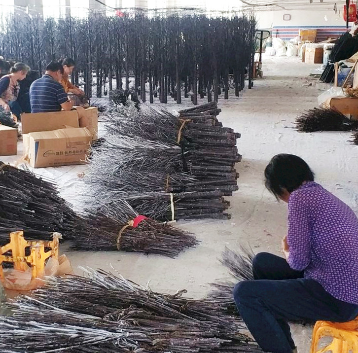 qq_pic_merged_1563368226489_副本