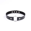 Nailless hoop neck collar