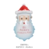 Christmas Beard Old Man