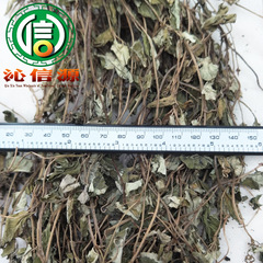 【Full】Dusty Graptopetalum Parvifolium 1kg Bulk Direct Supply From Sichuan Grand Graptopetalum Qinxinyuan