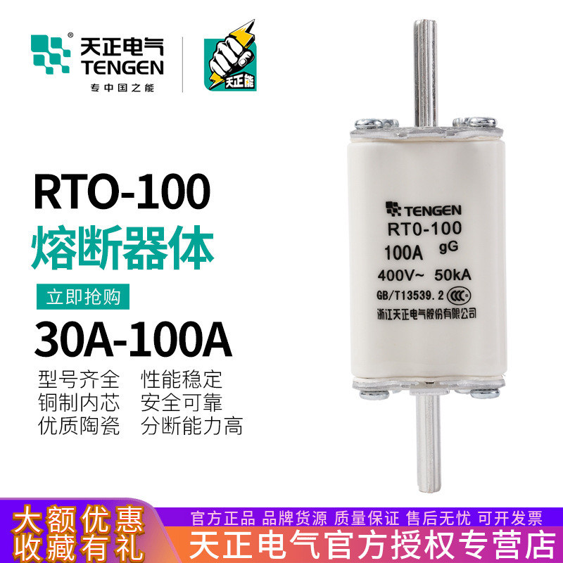 TENGEN天正电气 RTO-100体熔断器熔芯RT0-100A陶瓷保险丝63A 80A