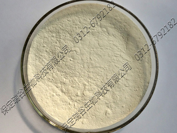 热销 芽孢杆菌 胶冻样芽孢杆菌 有效活菌数50亿/克 厂家直供