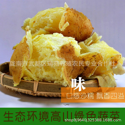 农家新鲜沙土豆甘肃蔬菜高山马铃薯烧烤粉洋芋8斤包邮拍下送一斤|ms