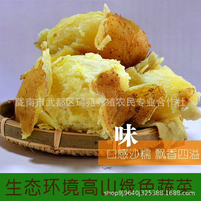 农家新鲜沙土豆甘肃蔬菜高山马铃薯烧烤粉洋芋8斤包邮拍下送一斤|ms