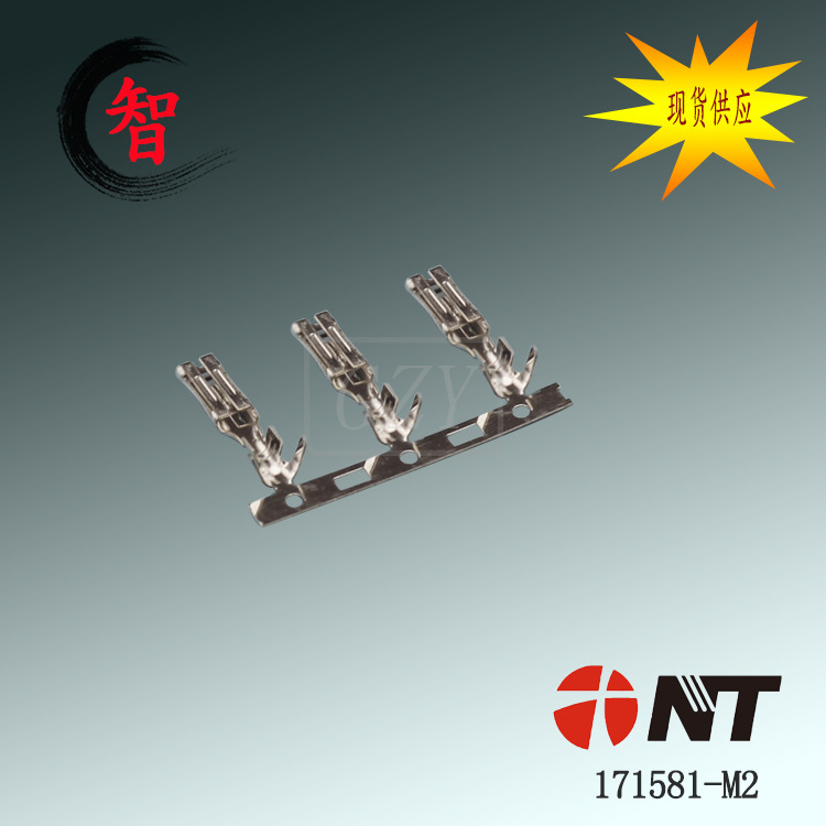 �ɶ��� ��Ӧ 171581-M2  Բ����״���� NT������