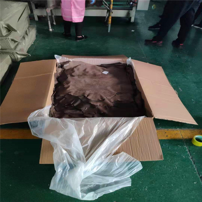 mmexport1572851377660