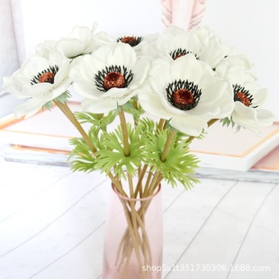 ��}�¿�����yɏ�� ���滨���^�� �����c���� PU���ߙn �ָн�