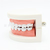 Oral teeth model for kindergarten, children's teaching aids, toy