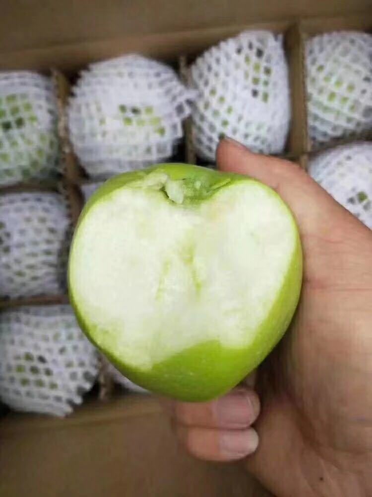 山西青苹果脆甜多汁4.8-5斤 新鲜水果小苹果产地直发非山东红富士