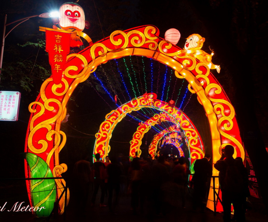 �Ϻ����⻨�Ʋʵ�������˾���׻���Ԫ�����ﴺ���������ӵ�