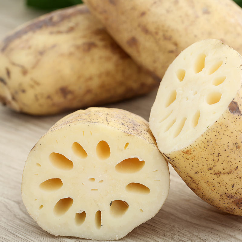 山东微山湖农户种植现挖现发当季新鲜蔬菜脆藕大个莲藕5斤装包邮|ru