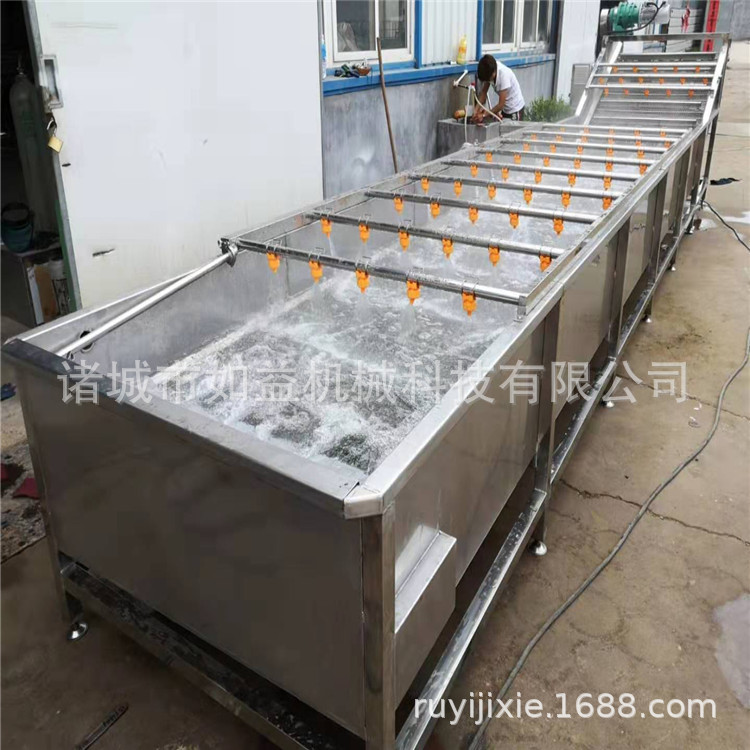 香椿清洗机 蔬菜绿叶菜清洗设备 菠菜油菜清洗气泡清洗机
